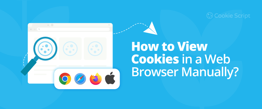 How To View Cookies In A Web Browser Manually